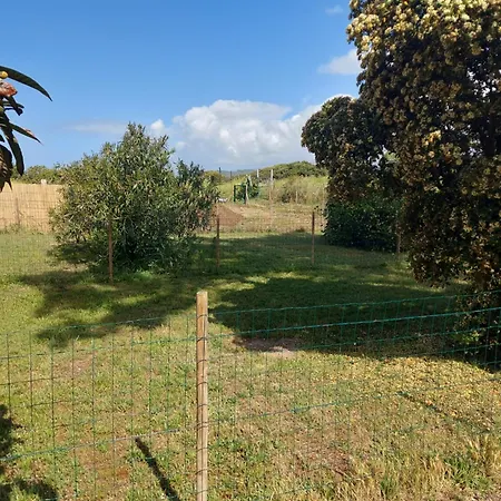 Le Narval Vert Appartamento *